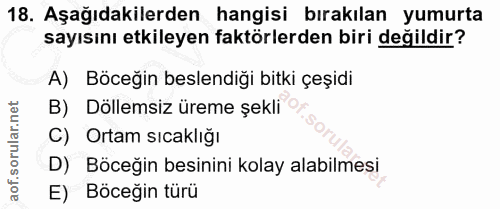 Soru 18