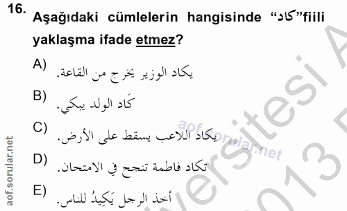 Soru 16