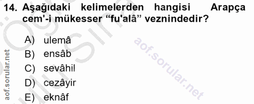 Soru 14