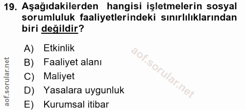 Soru 19