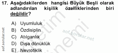 Soru 17