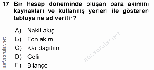 Soru 17