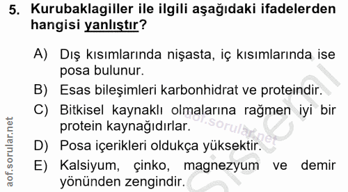 Soru 5
