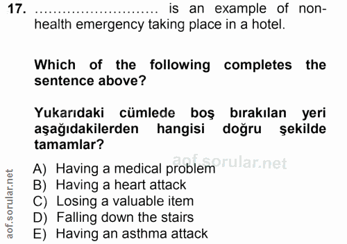 Soru 17