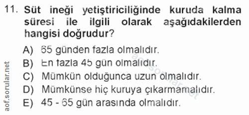 Soru 11