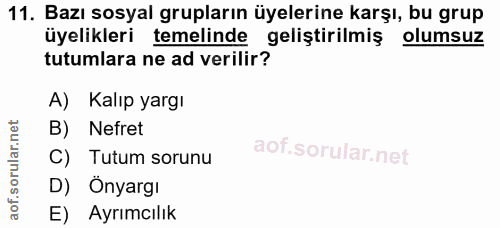 Soru 11