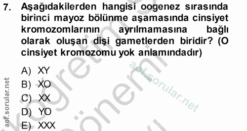 Soru 7