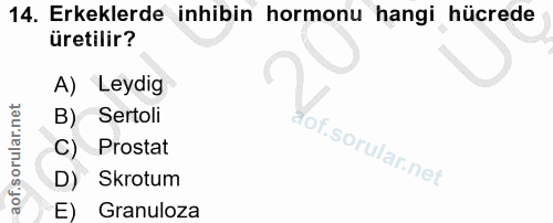 Soru 14