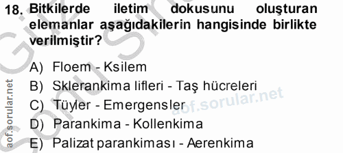 Soru 18
