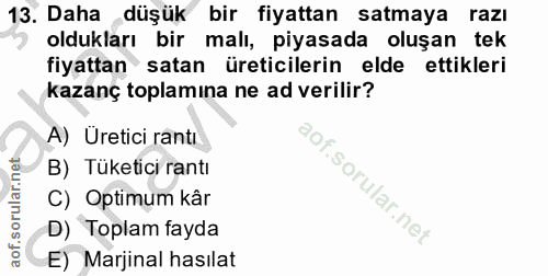Soru 13
