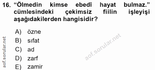 Soru 16