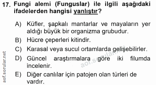 Soru 17