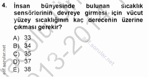 Soru 4