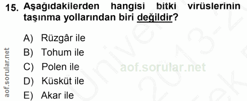 Soru 15