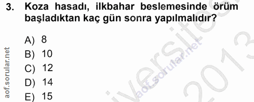 Soru 3