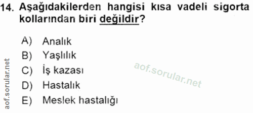 Soru 14