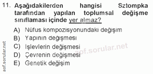 Soru 11