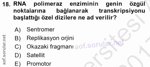 Soru 18