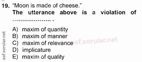 Soru 19