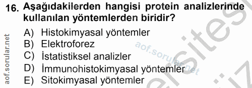 Soru 16