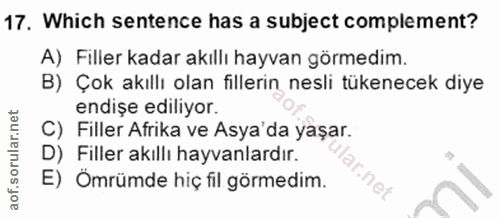 Soru 17