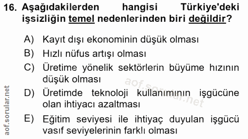 Soru 16