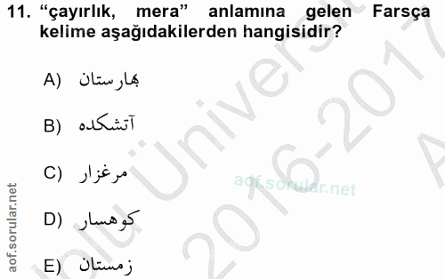 Soru 11