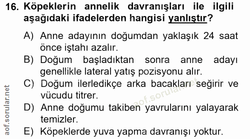Soru 16