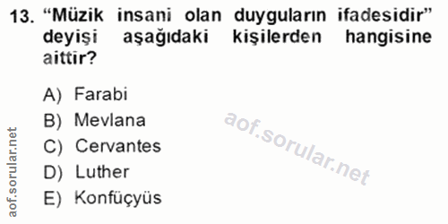 Soru 13