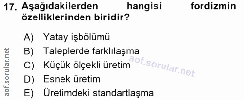 Soru 17