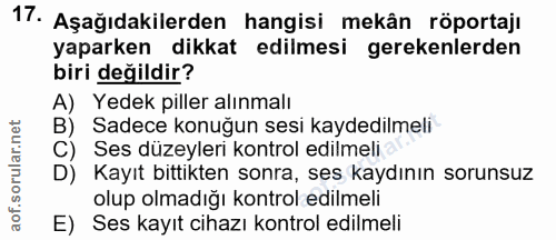 Soru 17