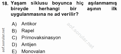 Soru 18