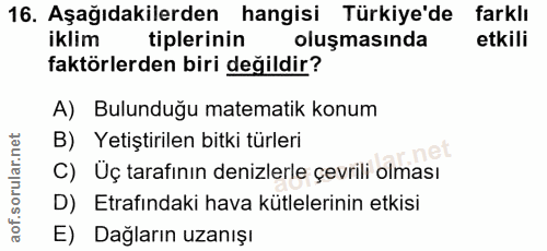 Soru 16