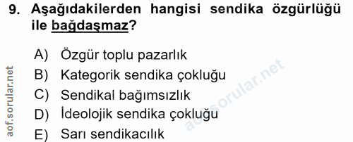 Soru 9