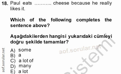 Soru 18