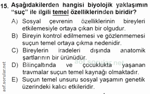 Soru 15