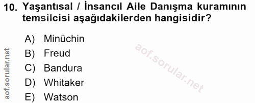 Soru 10