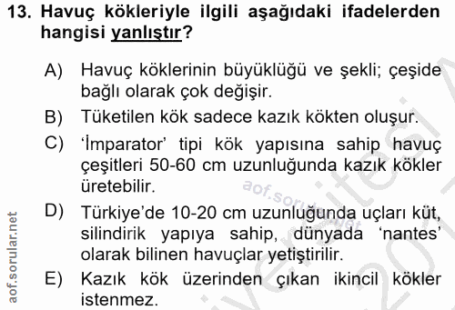 Soru 13