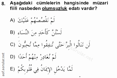 Soru 8