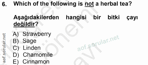 Soru 6