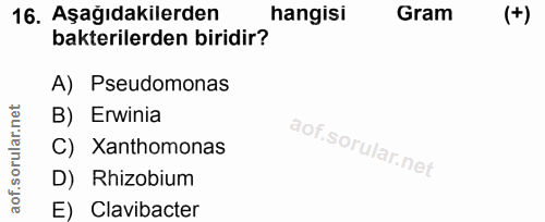 Soru 16