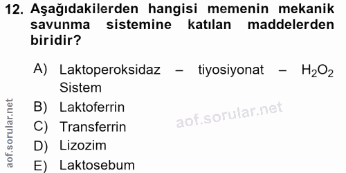 Soru 12