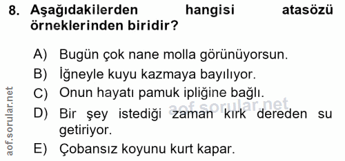 Soru 8