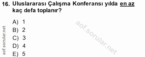 Soru 16
