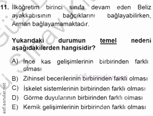 Soru 11