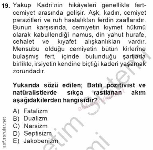 Soru 19