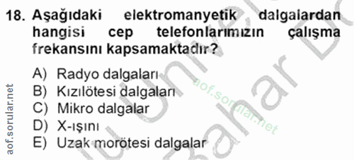 Soru 18