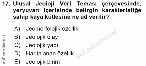 Soru 17