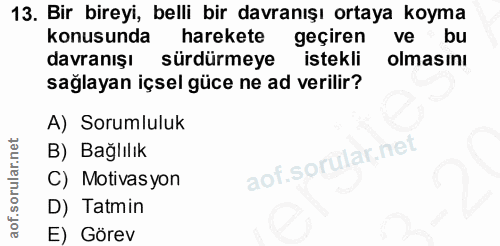 Soru 13