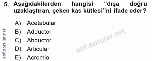 Soru 5